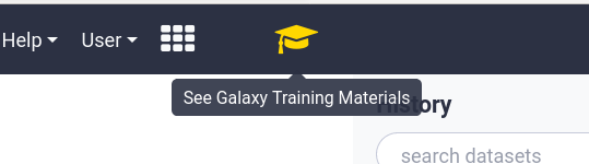Screenshot showing GTN button on masthead in Galaxy