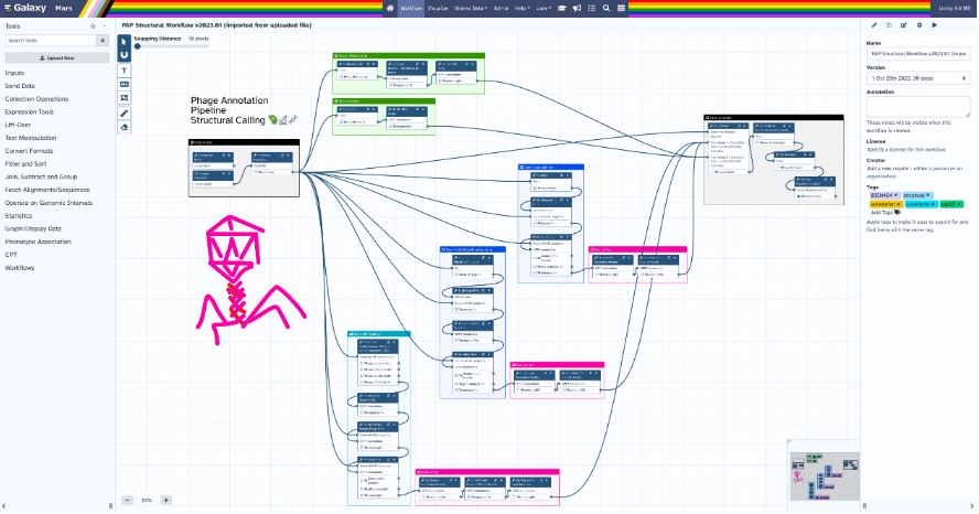 Example of a structured workflow.